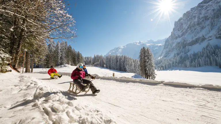 A scenic view of a landscape