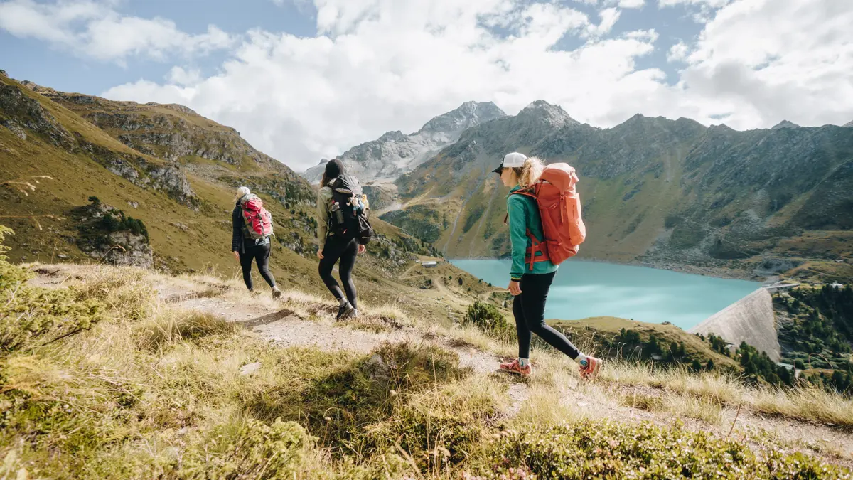 Nendaz view of the Cleuson Dam from Bisse de Chervé