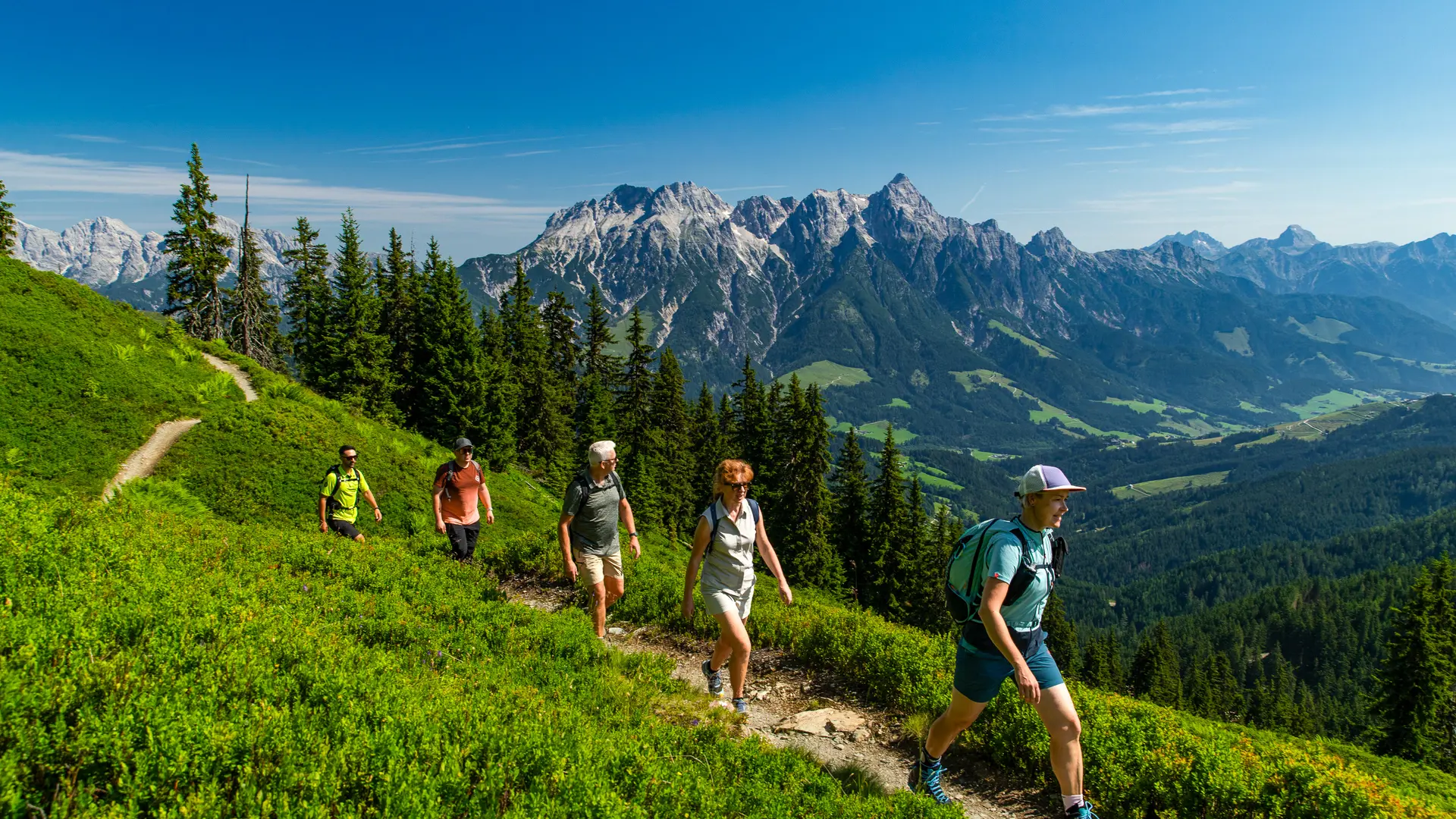 Hero Banner Background Video or Image