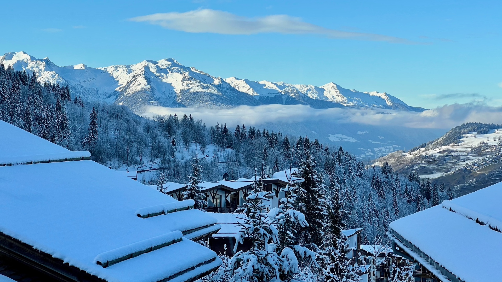 Chalet Jardin Alpin La Tania Snowy View 2