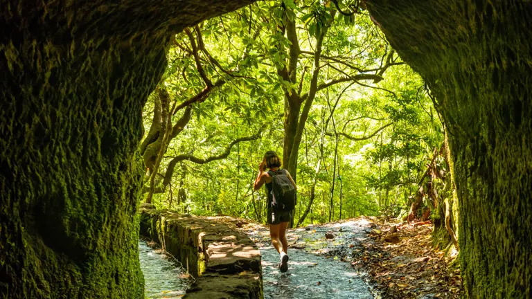 Easy Walking Madeira